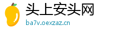 头上安头网